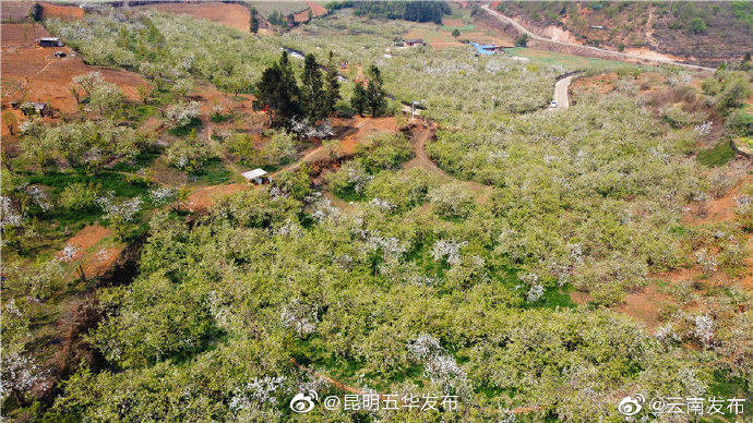 “昆明五华发布”微博