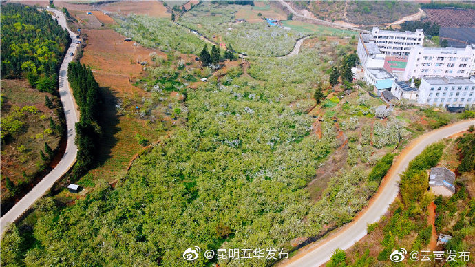 “昆明五华发布”微博