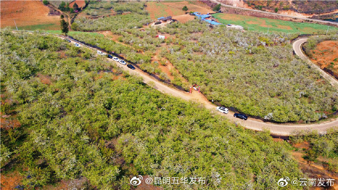 “昆明五华发布”微博