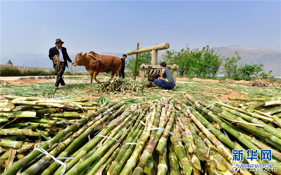 “云南发布”微博