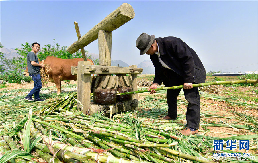 “云南发布”微博