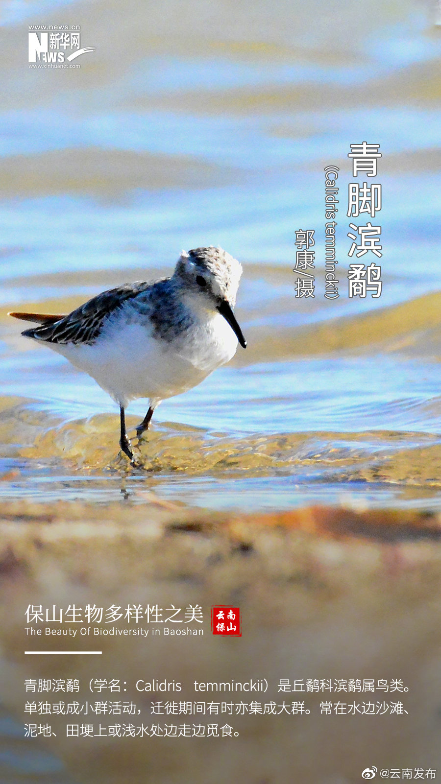 “云南发布”微博