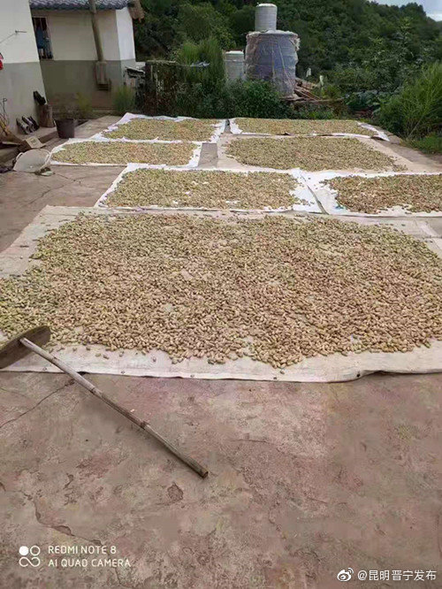 “昆明晋宁发布”微博