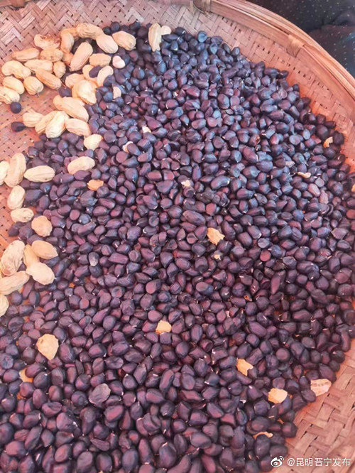 “昆明晋宁发布”微博