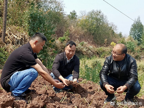 “昆明晋宁发布”微博