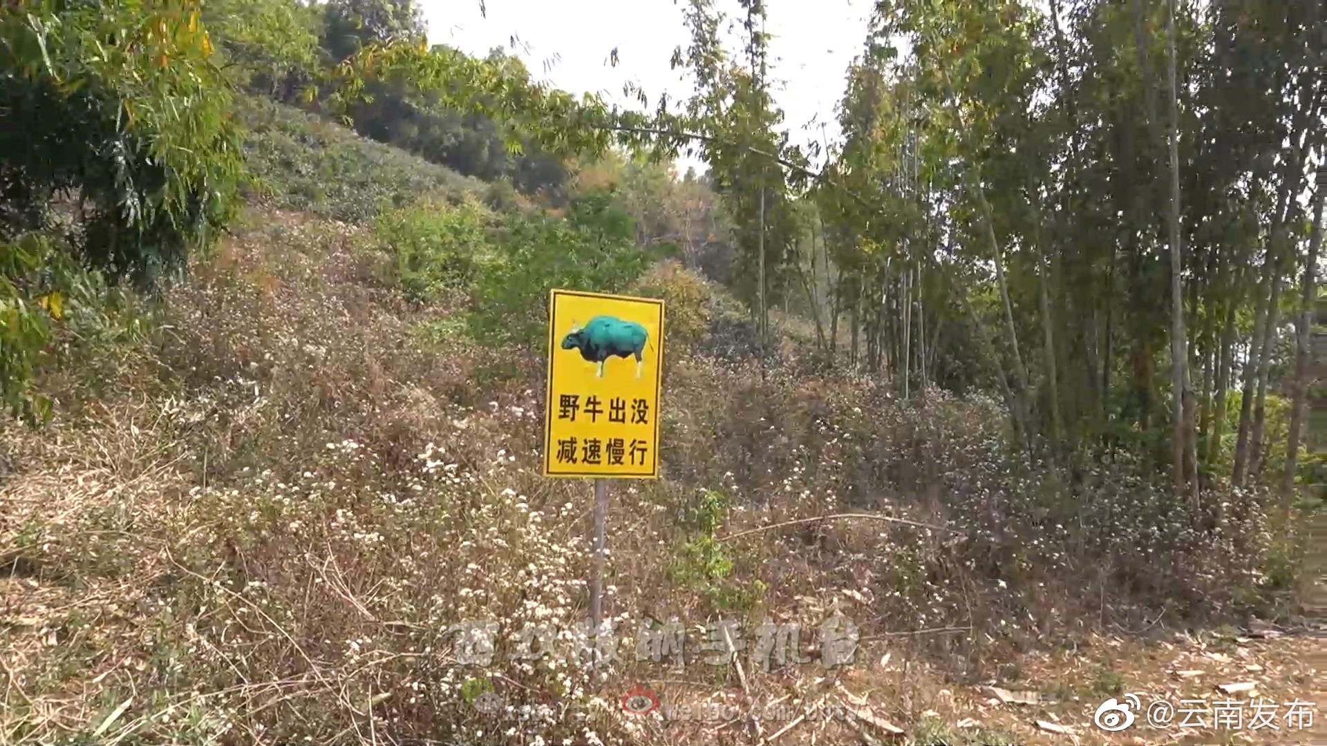 “云南发布”微博