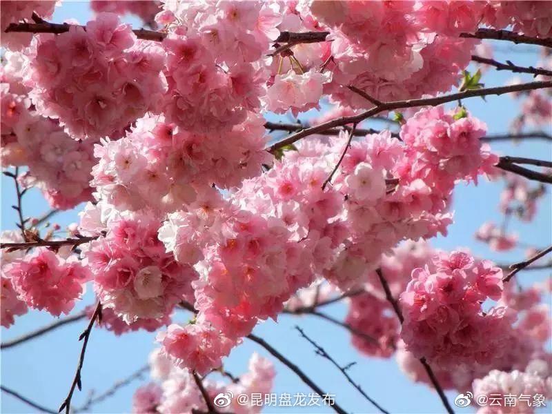 云南省未来24小时天气预报