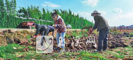 农旅融合助力乡村振兴