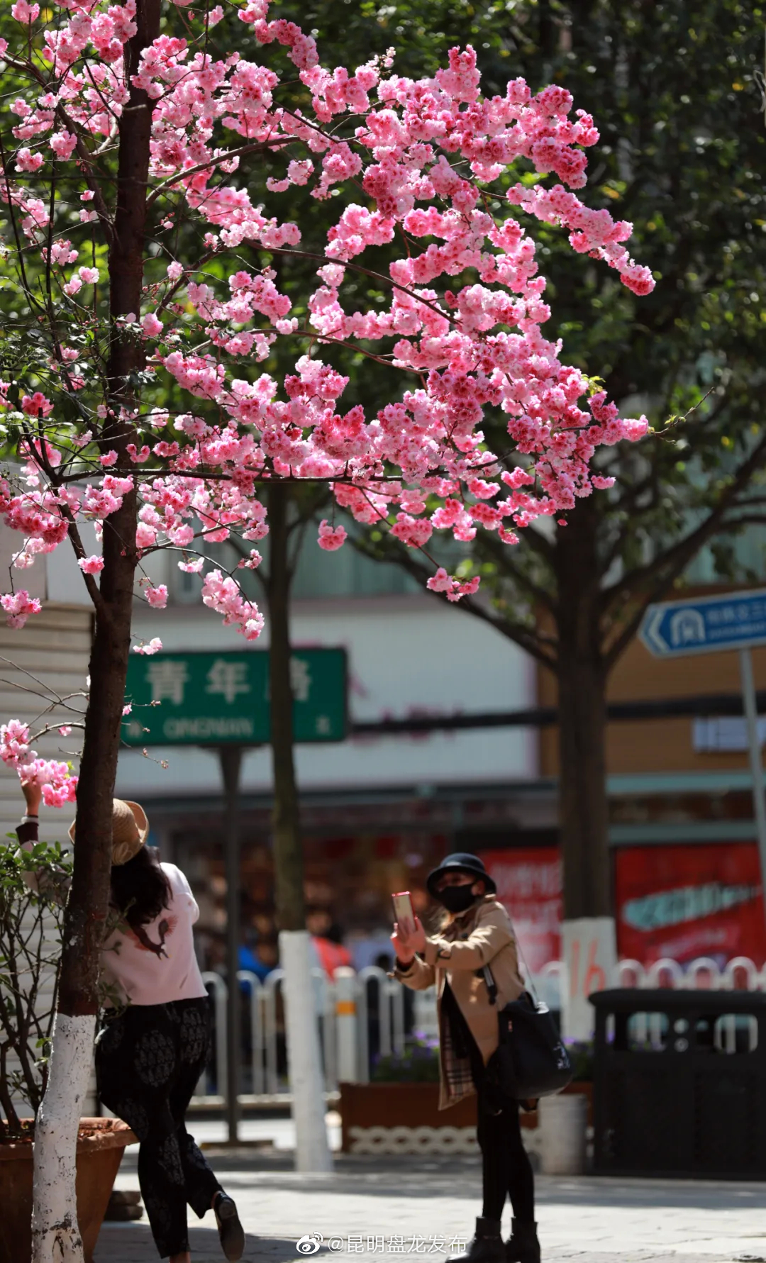 “昆明盘龙发布”微博