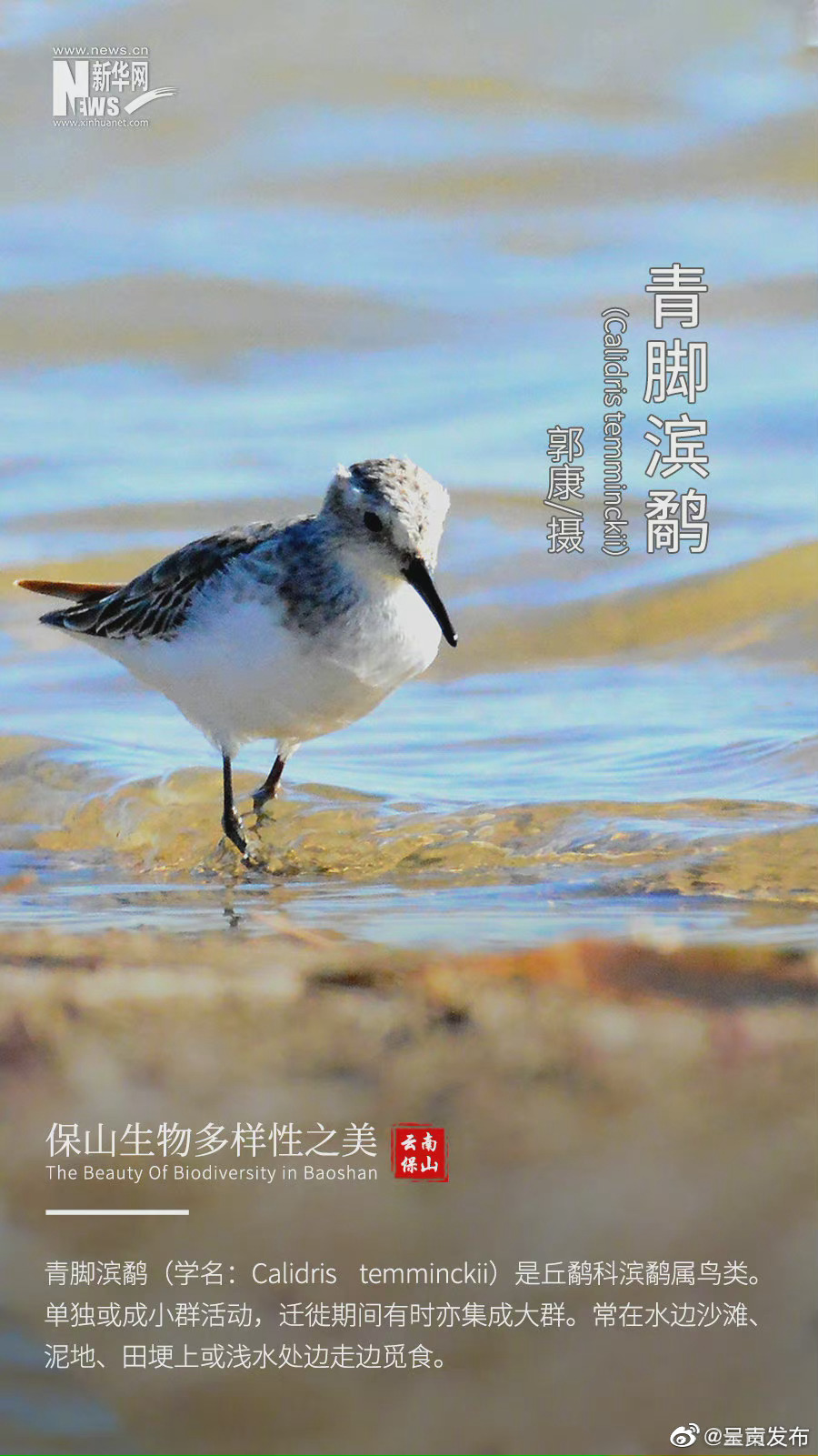 “呈贡发布”微博