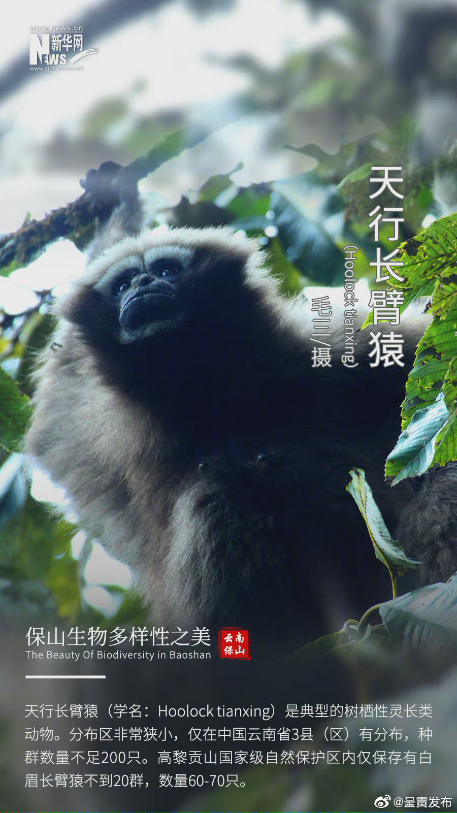 “呈贡发布”微博