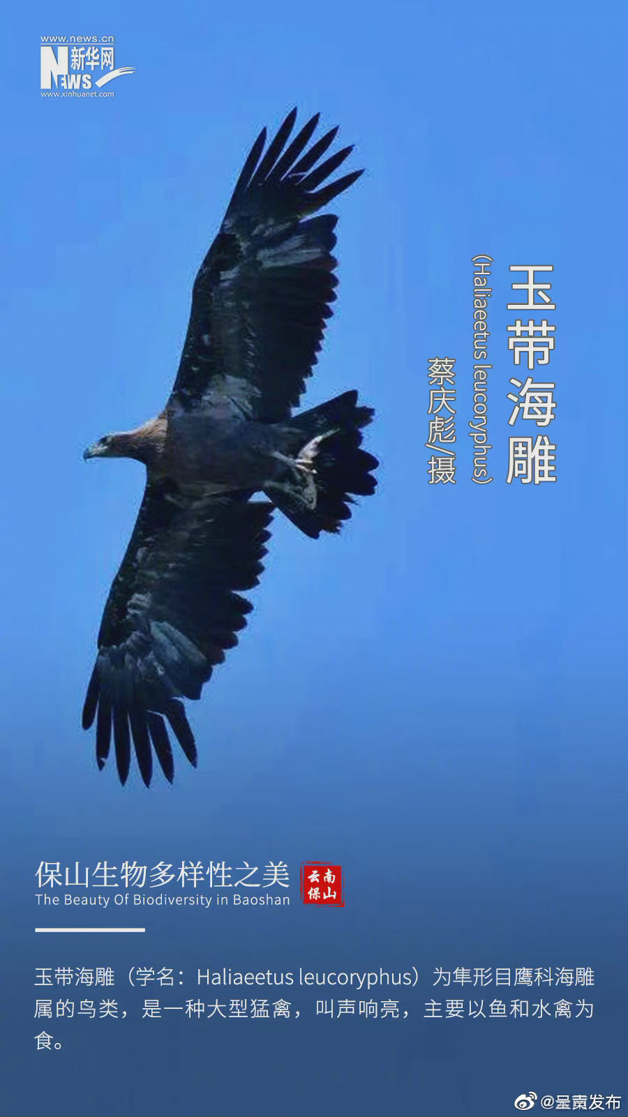 “呈贡发布”微博