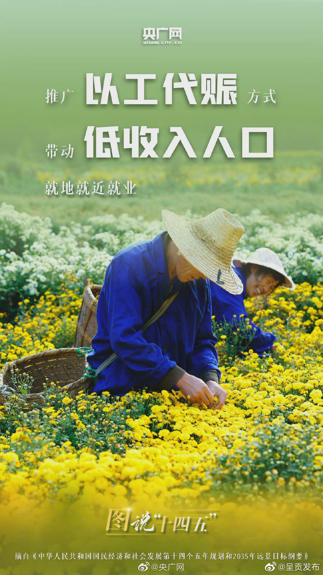 “呈贡发布”微博
