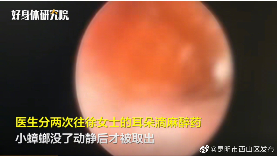 “昆明市西山区发布”微博