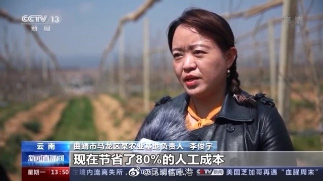 新浪微博