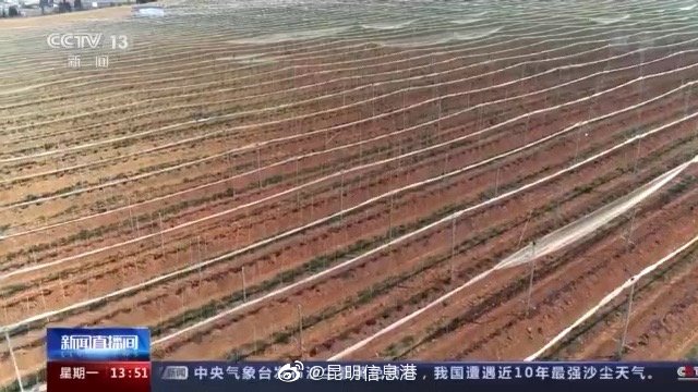 新浪微博