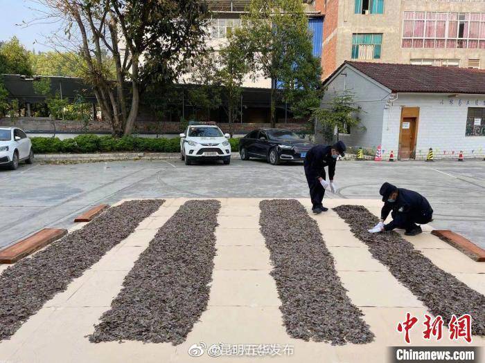 “昆明五华发布”微博