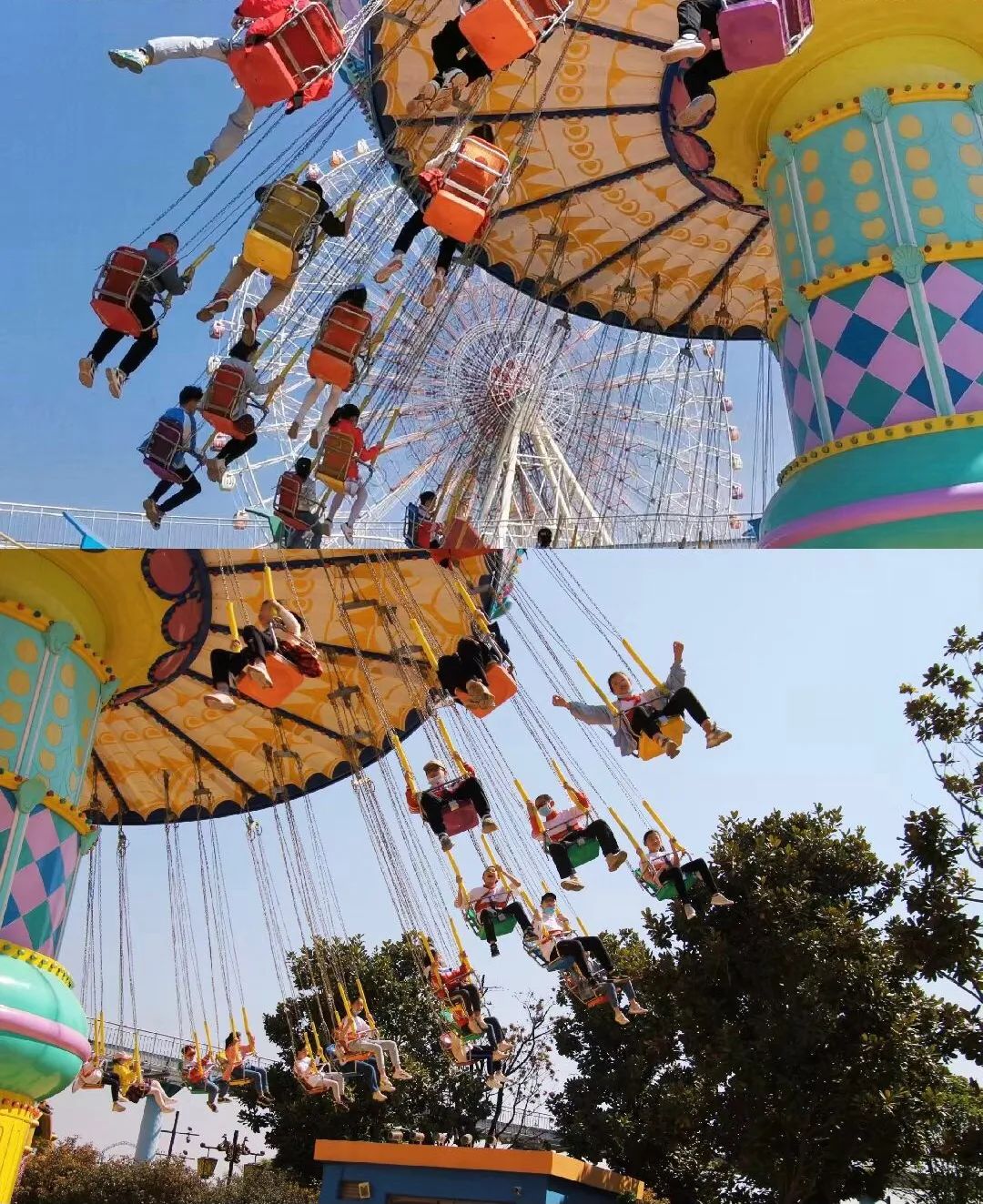 昆明市盘龙区园博小学(微信)