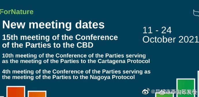 “昆明市西山区发布”微博