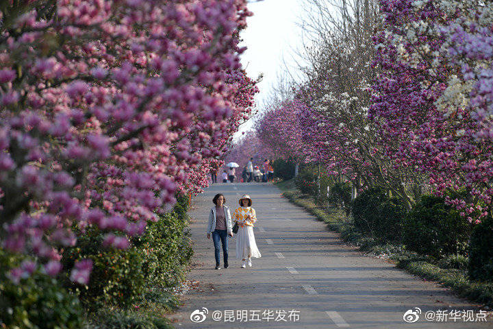 文旅部：旅游景区游客接待上限由各地确定，不搞“一刀切”