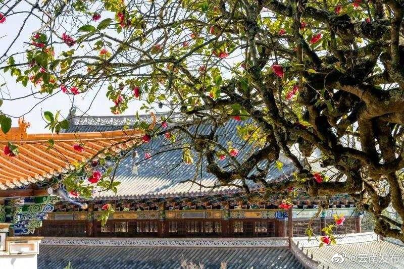 “云南发布”微博