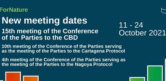 云南信息报(微信)