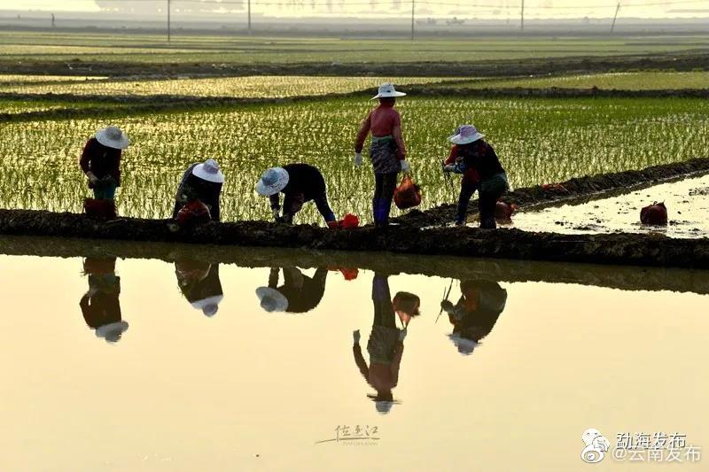 “云南发布”微博