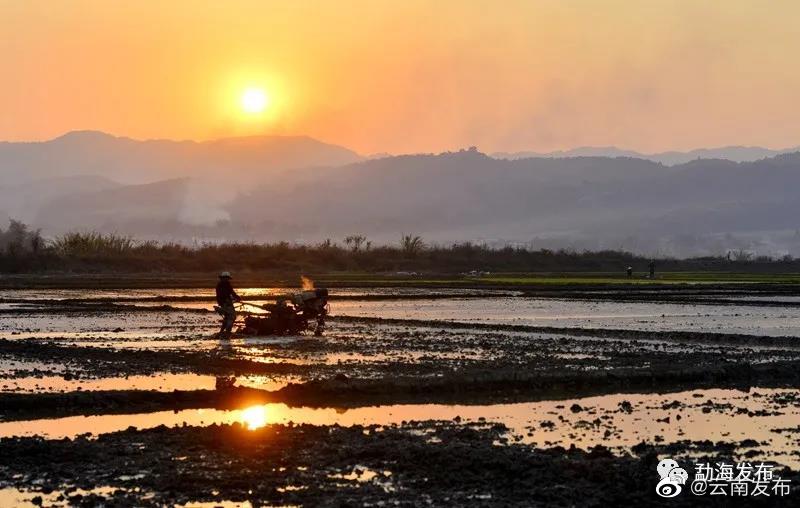 “云南发布”微博