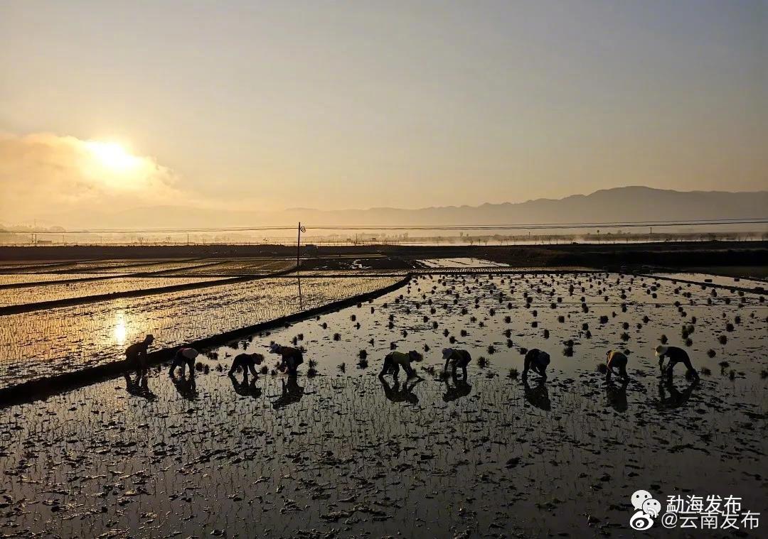 “云南发布”微博