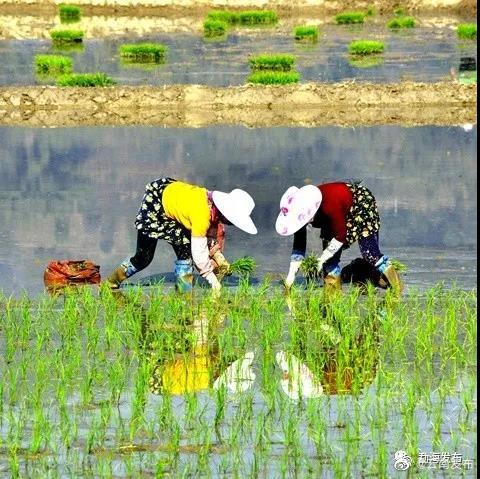 “云南发布”微博