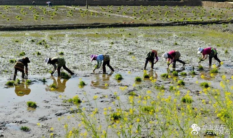 “云南发布”微博