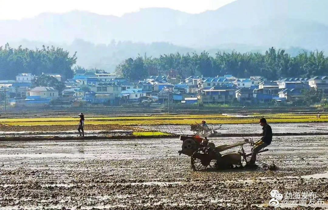 “云南发布”微博