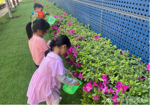 “昆明市西山区发布”微博