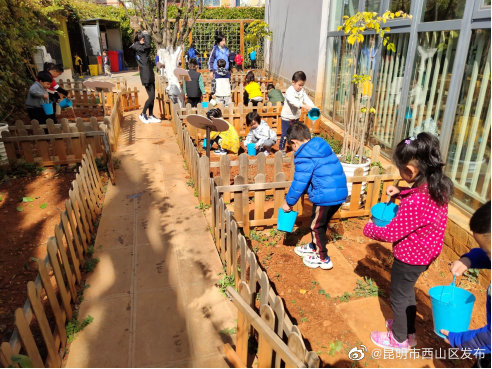 “昆明市西山区发布”微博