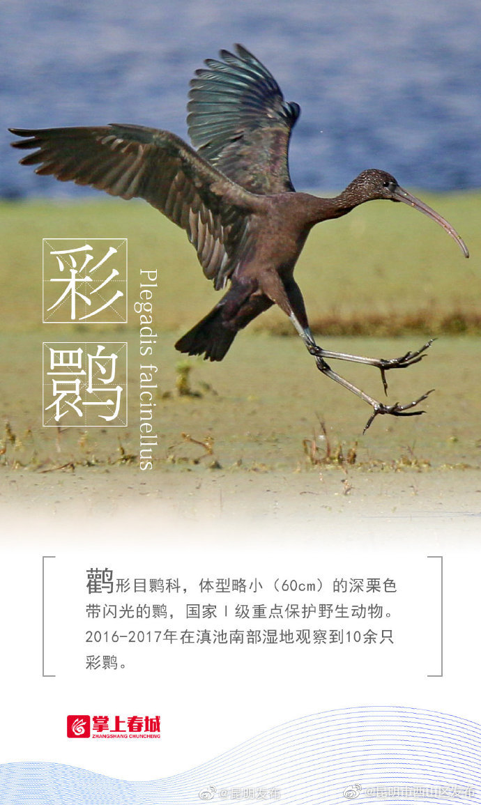 “昆明市西山区发布”微博