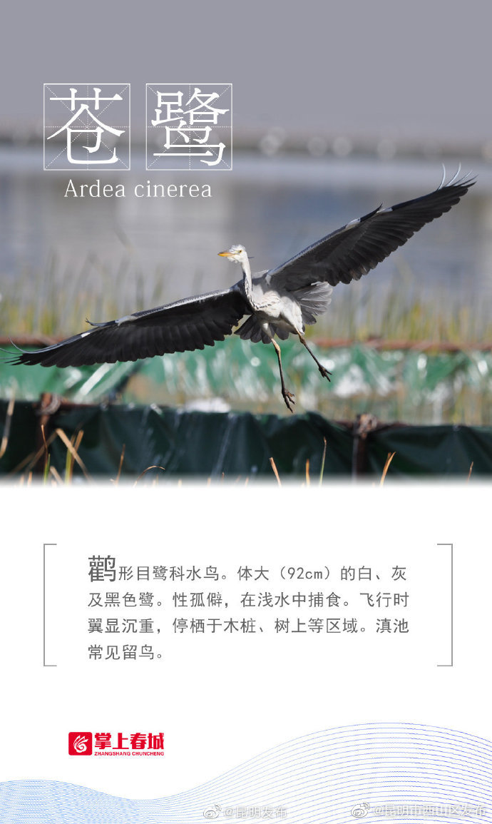 “昆明市西山区发布”微博