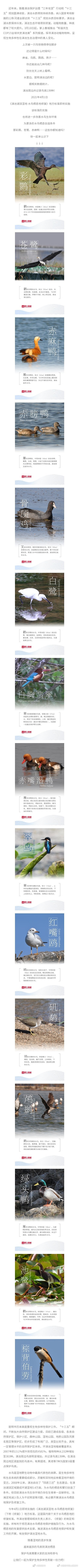 “昆明市西山区发布”微博