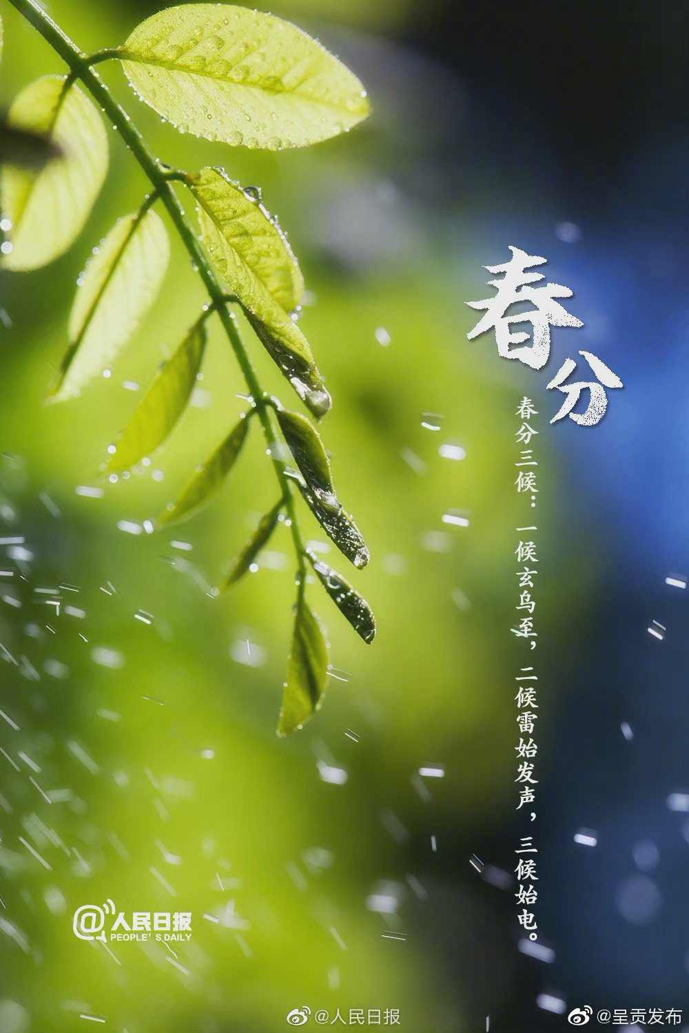 “呈贡发布”微博