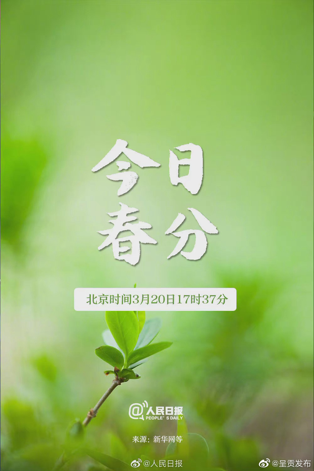 “呈贡发布”微博