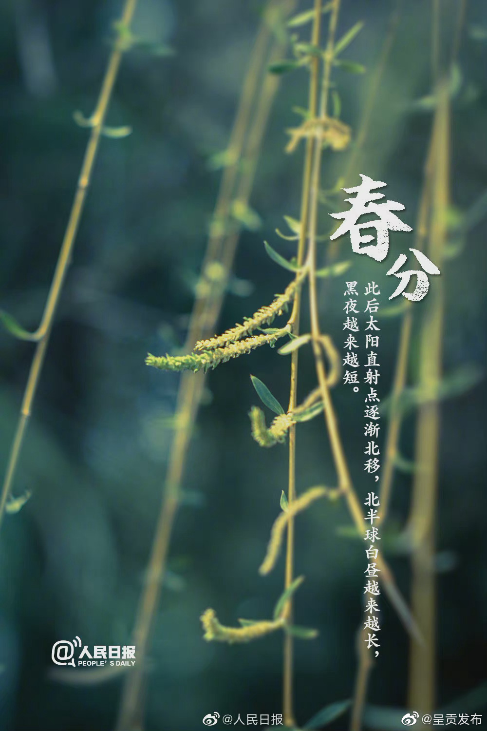 “呈贡发布”微博