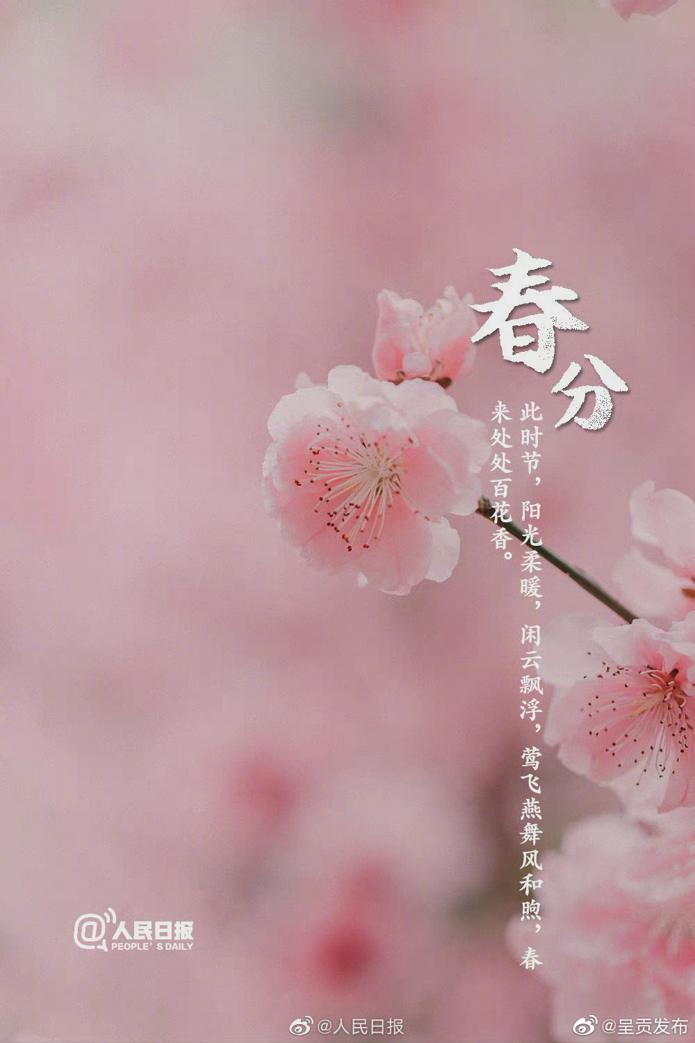 “呈贡发布”微博