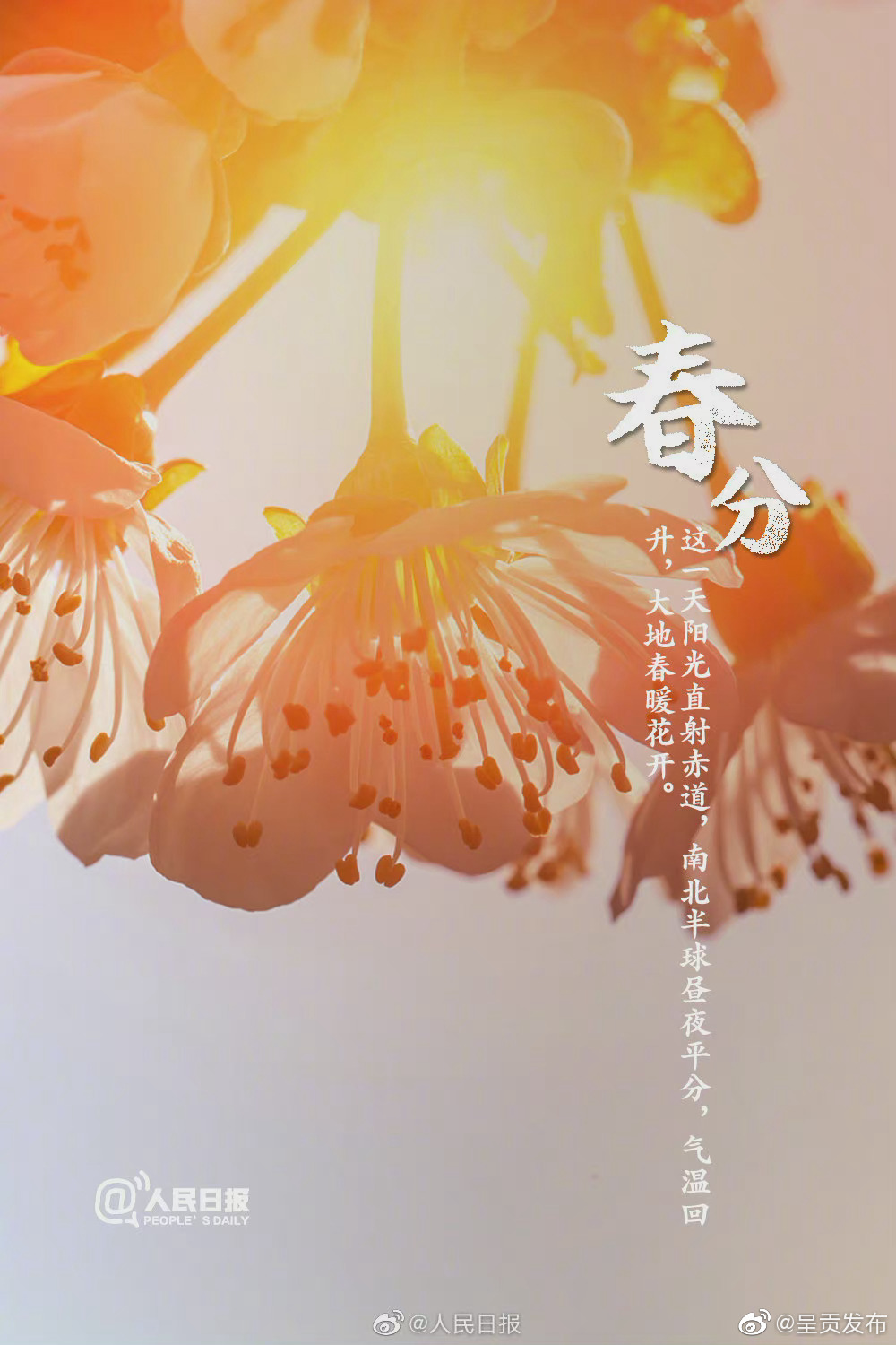 “呈贡发布”微博