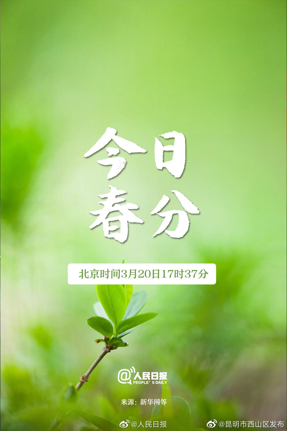 “昆明市西山区发布”微博