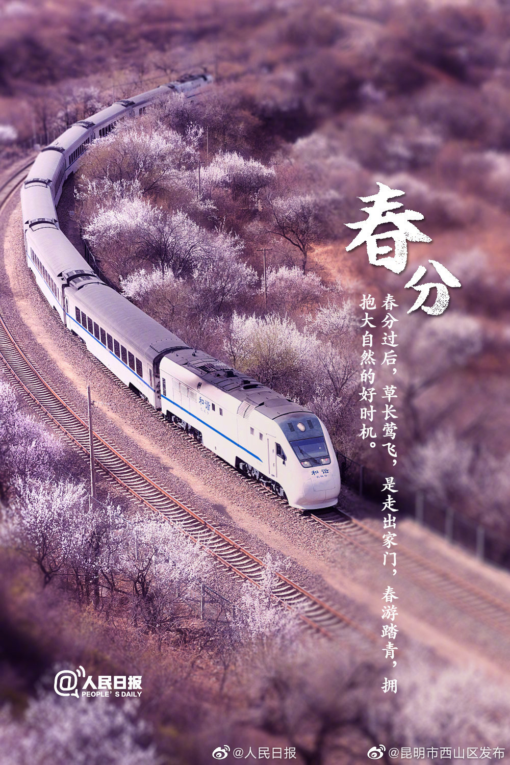 “昆明市西山区发布”微博