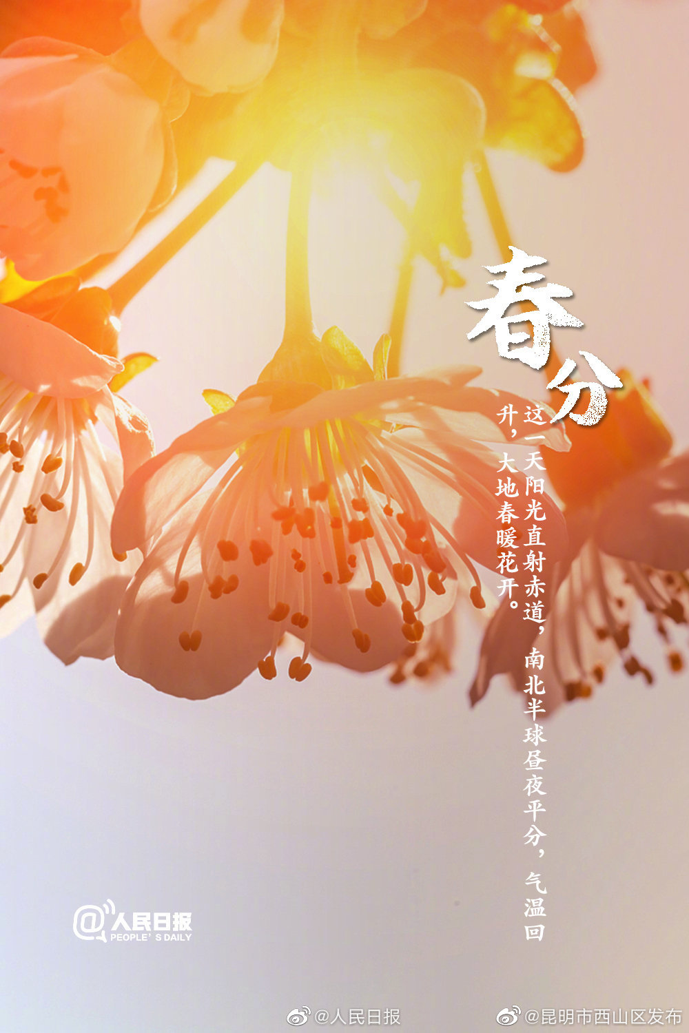 “昆明市西山区发布”微博