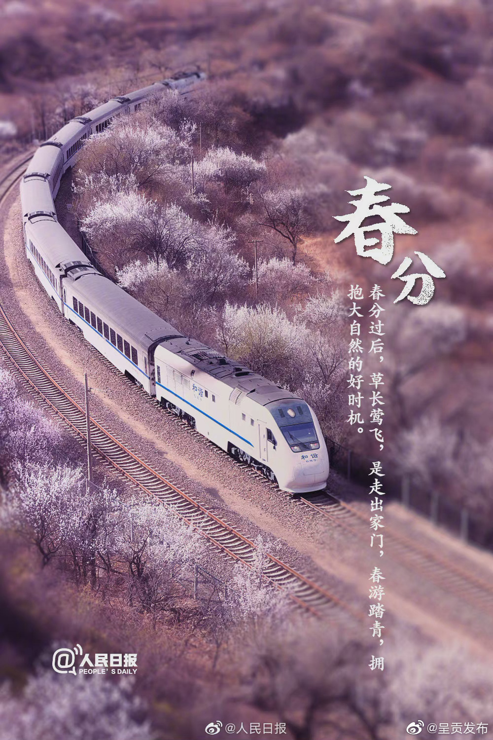 “呈贡发布”微博