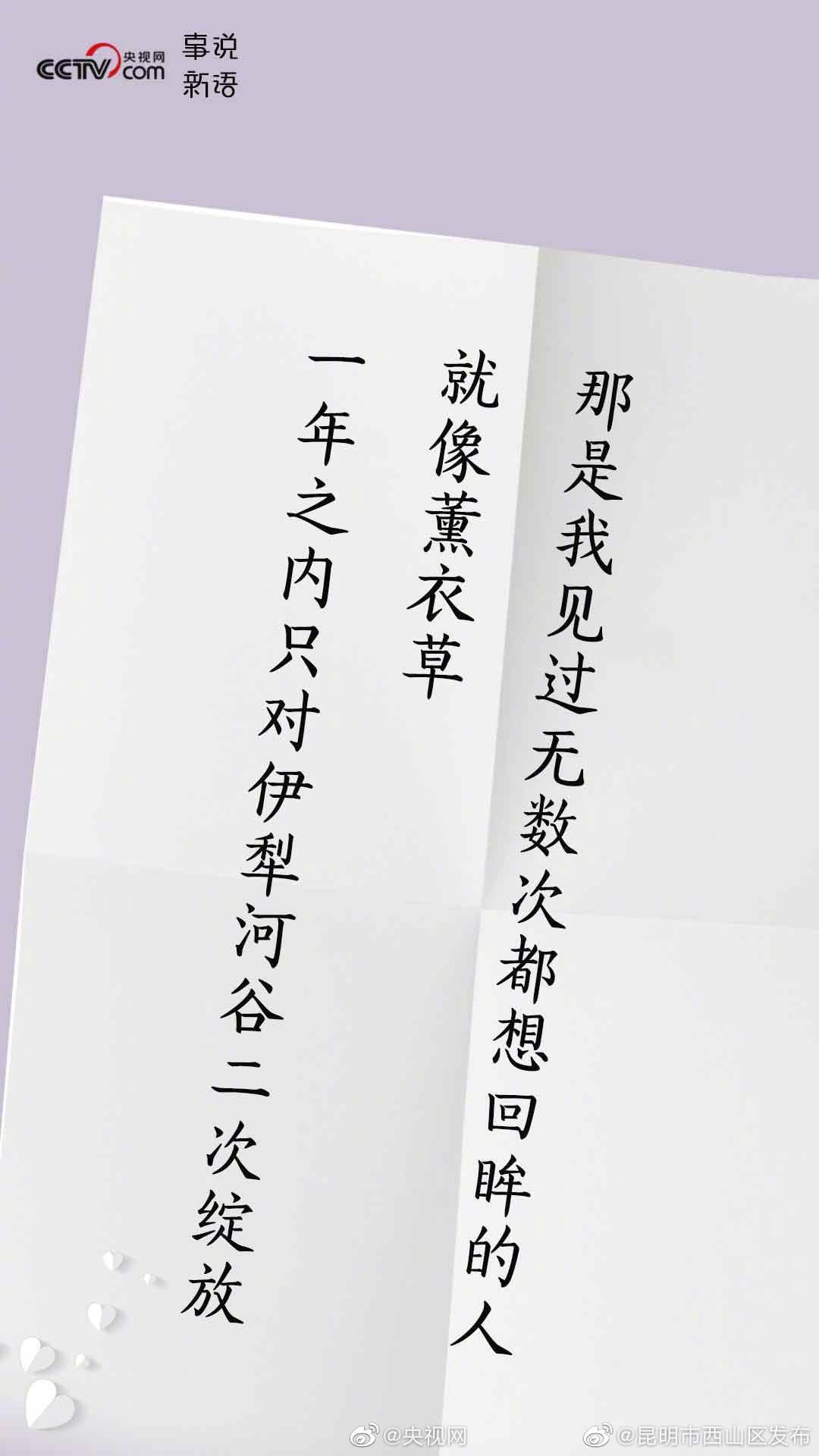 “昆明市西山区发布”微博