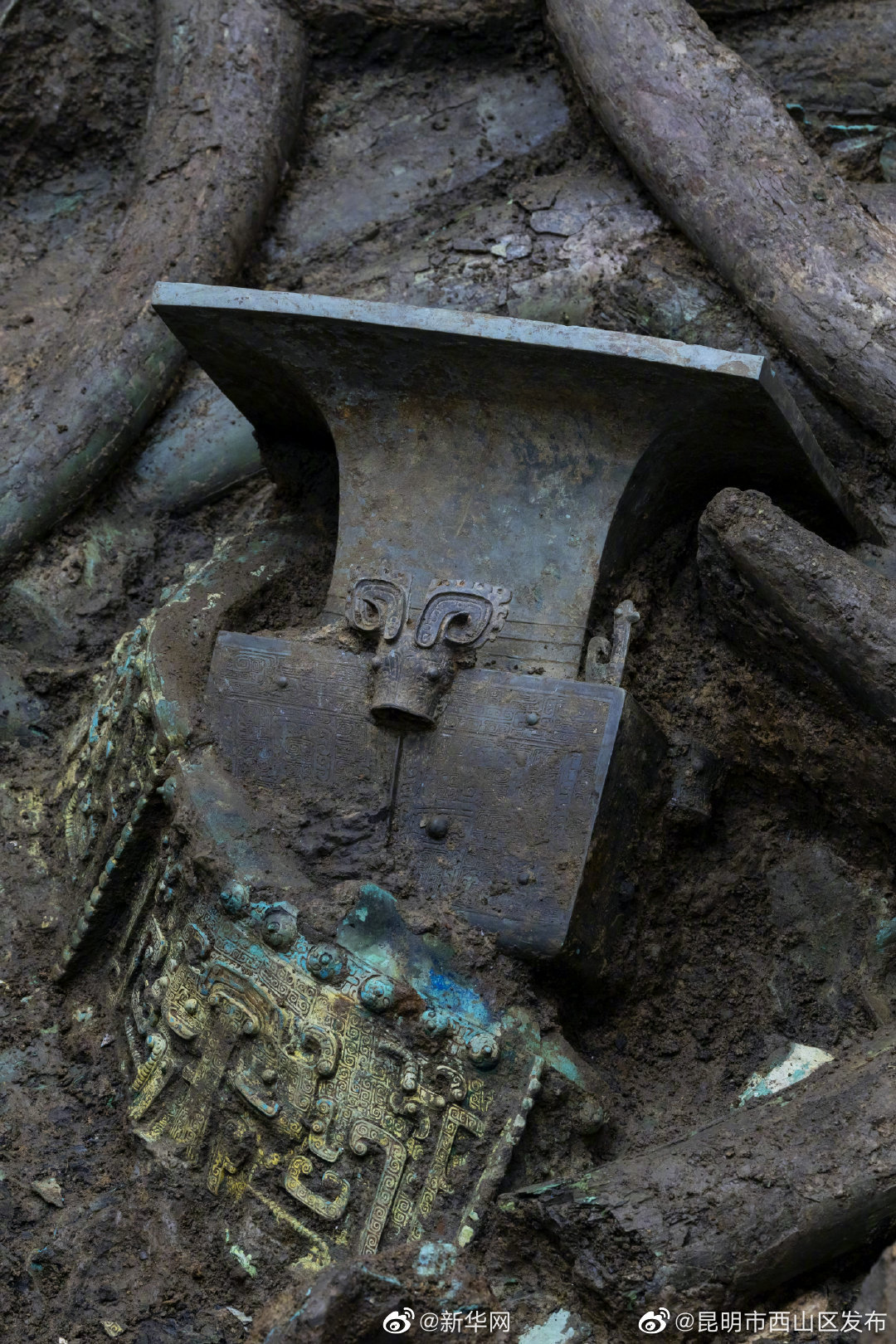 “昆明市西山区发布”微博