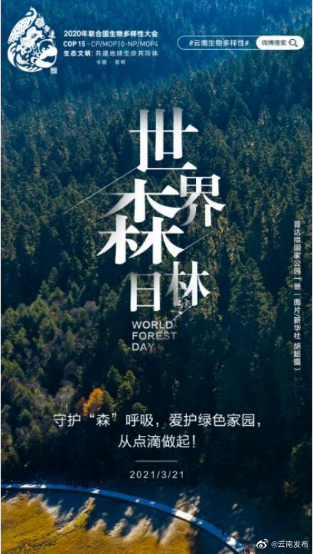 守护“森”呼吸，爱护绿色家园，从点滴做起！