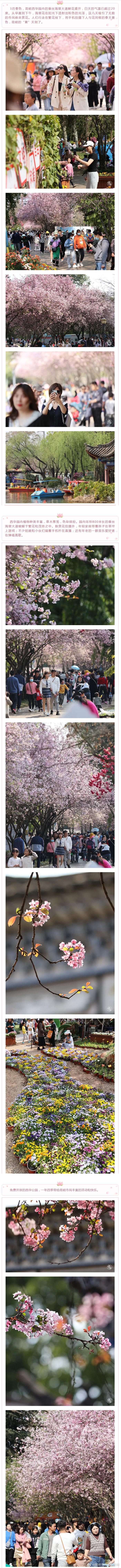 “昆明市西山区发布”微博